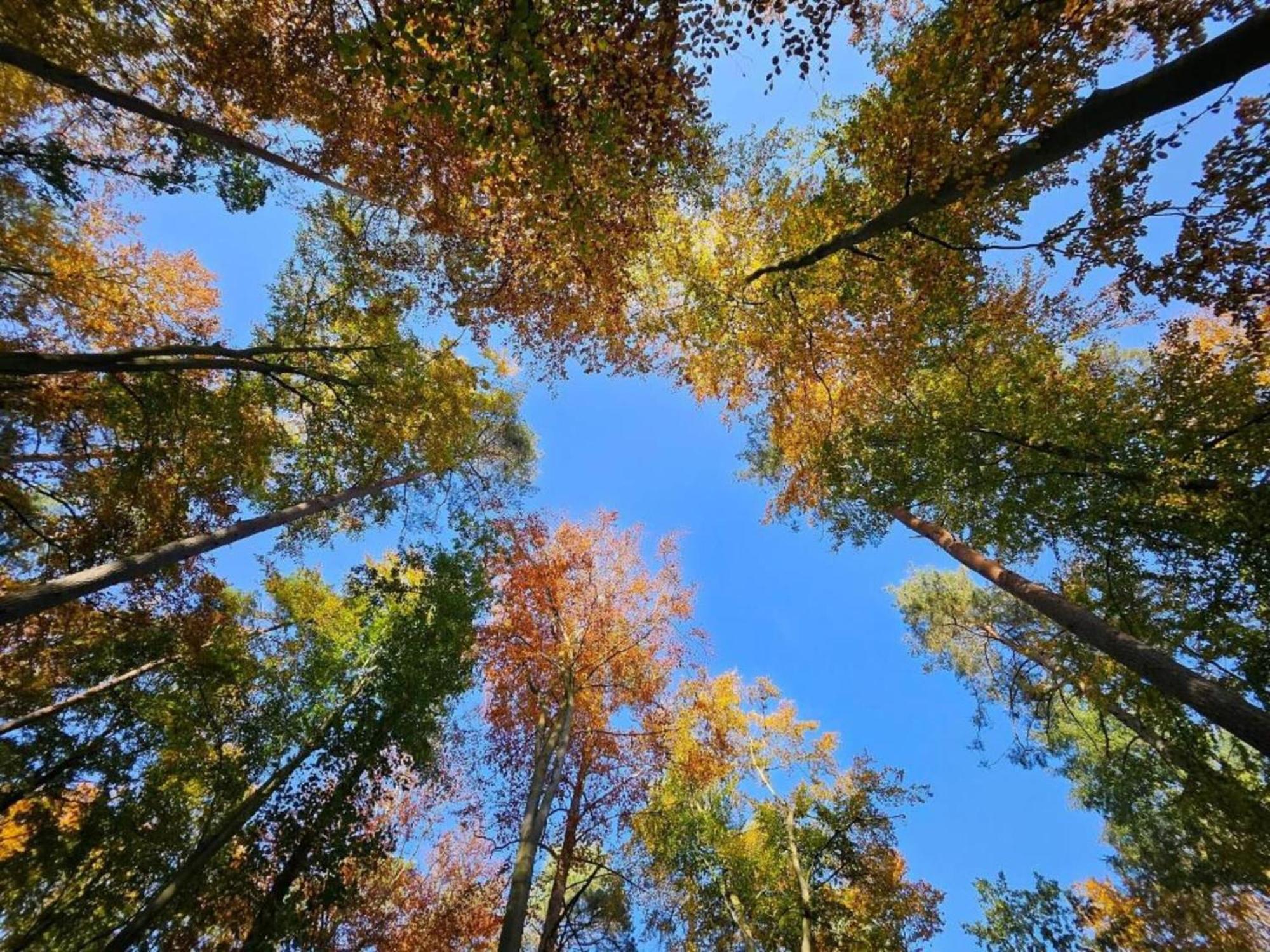Ferienpark Mueritz In Rechlin-Nord Exterior foto